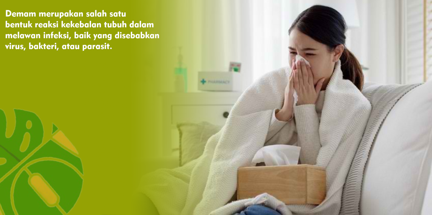 Obat Tradisional Penurun Demam Ringan, Jaga Kebugaran Tubuh Saat Musim Pancaroba